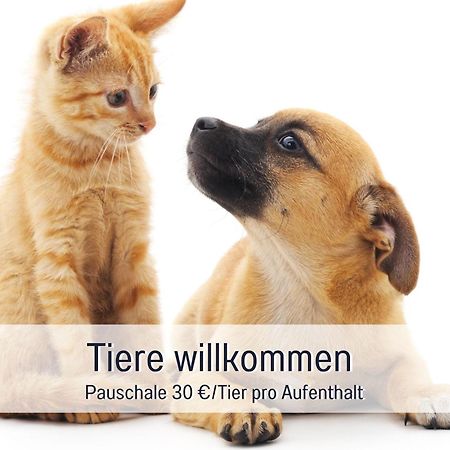 Rosmarin - Kuschelige Fewo - Romantik & Entspannung Im Whirlpool Auf Privater Terrasse, Ruhe & Hund Willkommen - By Ferienwohnenamsee - Uberlingen Zewnętrze zdjęcie