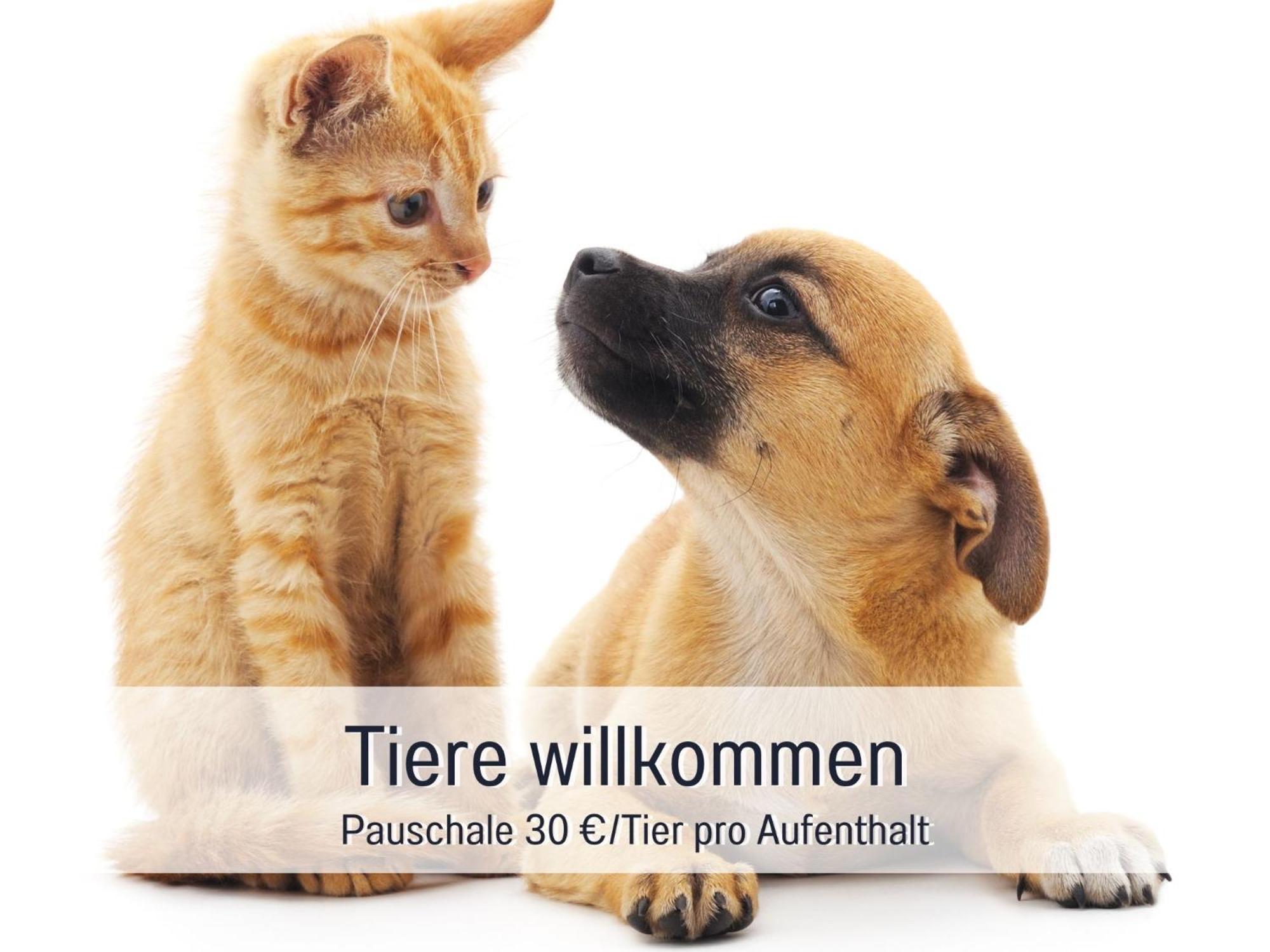 Rosmarin - Kuschelige Fewo - Romantik & Entspannung Im Whirlpool Auf Privater Terrasse, Ruhe & Hund Willkommen - By Ferienwohnenamsee - Uberlingen Zewnętrze zdjęcie